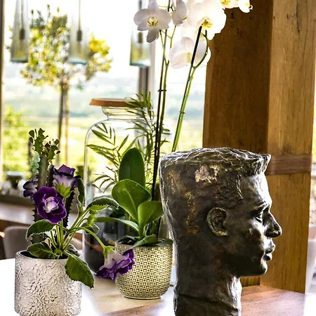 بيت ضيافة Les Hauts D'avignon روشيفورْ دو جارْ