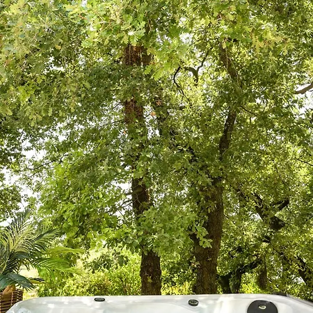 Les Hauts D'avignon * روشيفورْ دو جارْ