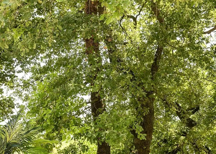 Les Hauts D'avignon * Rochefort-du-Gard