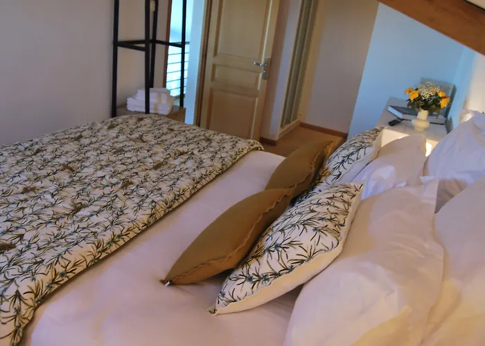 Les Hauts D'avignon *